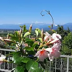Apartment In Con Vista Monviso