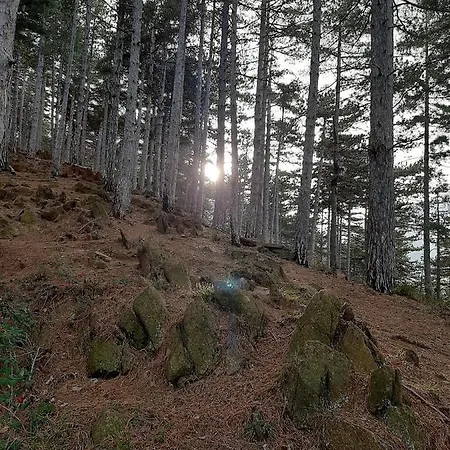 In Con Vista Monviso Piossasco