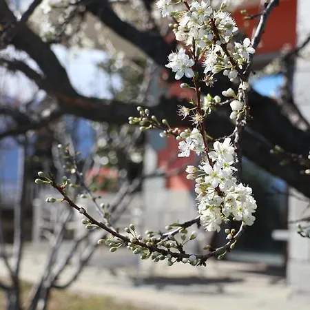 アパート In Con Vista Monviso Piossasco